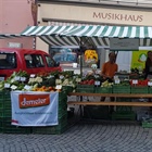 Wochenmarkt Rapperswil 2025